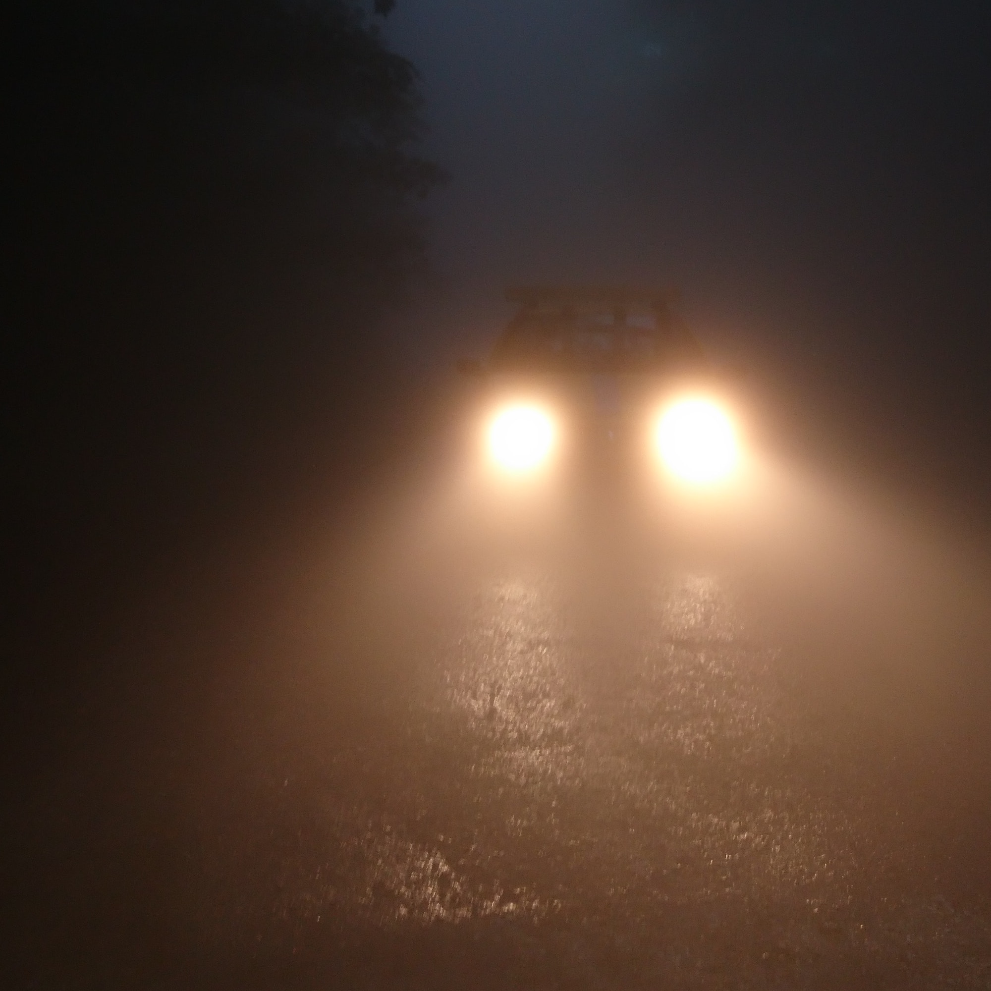 Foglights